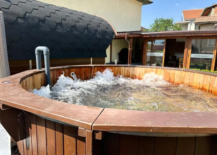 “александър” Villa Velingrad