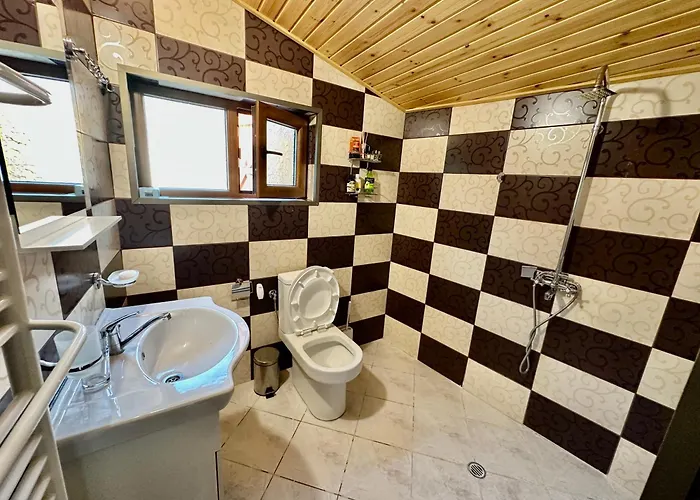 Villa “александър” *